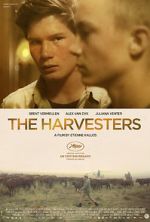 Watch The Harvesters Wolowtube