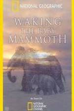 Watch Waking the Baby Mammoth Wolowtube