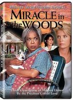 Watch Miracle in the Woods Wolowtube