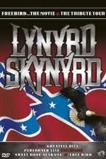 Watch Lynrd Skynyrd: Tribute Tour Concert Wolowtube