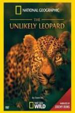 Watch Unlikely Leopard Wolowtube