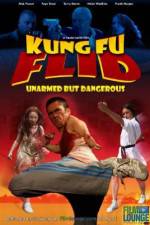 Watch Kung Fu Flid Wolowtube