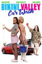 Watch Bikini Valley Car Wash Wolowtube