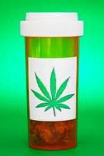 Watch Medicinal Cannabis and its Impact on Human Health Wolowtube