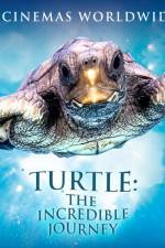 Watch Turtle The Incredible Journey Wolowtube