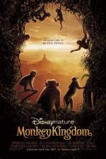 Watch Monkey Kingdom Wolowtube