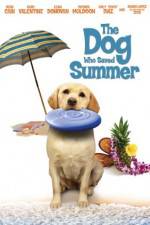 Watch The Dog Who Saved Summer Wolowtube