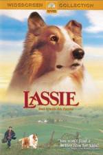 Watch Lassie Wolowtube
