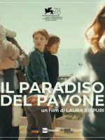 Watch Il paradiso del pavone Wolowtube