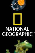 Watch National Geographic Wild Dam Beavers Wolowtube