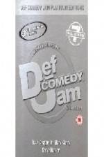 Watch Def Comedy Jam - All Stars - Vol.7 Wolowtube