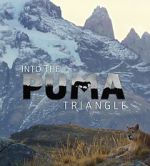Watch Into the Puma Triangle Wolowtube