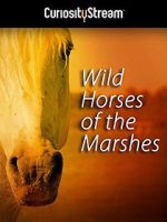 Watch Wild Horses of the Marshes Wolowtube