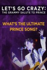 Watch Let\'s Go Crazy: The Grammy Salute to Prince Wolowtube