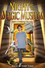 Watch Night At The Magic Museum Wolowtube