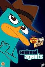 Watch Phineas And Ferb Animal Agents Wolowtube
