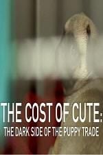 Watch The Cost of Cute: The Dark Side of the Puppy Trade Wolowtube