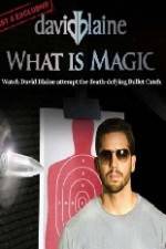 Watch David Blaine What Is Magic Wolowtube