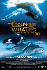 Watch Dolphins and Whales 3D Tribes of the Ocean Wolowtube
