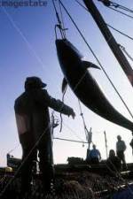 Watch National Geographic: Cheating Death Tuna Cowboys Wolowtube