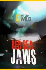 Watch National Geographic Red Sea Jaws Wolowtube