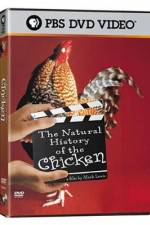 Watch The Natural History of the Chicken Wolowtube
