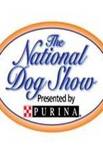 Watch National Dog Show Wolowtube