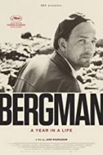 Watch Bergman: A Year in the Life Wolowtube