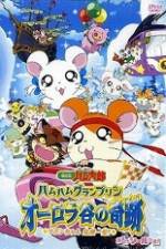 Watch Hamtaro Movie 3: Ham Ham Grand Prix Wolowtube