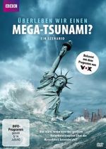 Watch Could We Survive a Mega-Tsunami? Wolowtube