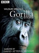 Watch Gorilla Revisited with David Attenborough Wolowtube