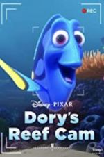 Watch Dory\'s Reef Cam Wolowtube