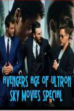 Watch Avengers Age of Ultron Sky Movies Special Wolowtube