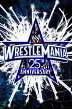 Watch The 25th Anniversary of WrestleMania (A.K.A. WrestleMania 25 ) Wolowtube