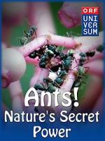Watch Ants: Nature\'s Secret Power Wolowtube