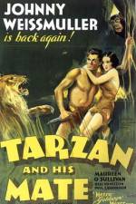 Watch Tarzan and His Mate Wolowtube