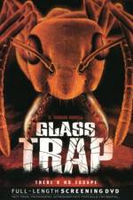 Watch Glass Trap Wolowtube