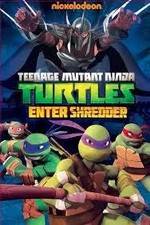 Watch Teenage Mutant Ninja Turtles: Enter Shredder Wolowtube