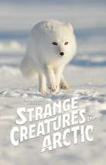 Watch Strange Creatures of the Arctic (TV Special 2022) Wolowtube