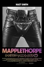 Watch Mapplethorpe Wolowtube