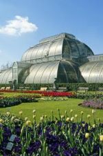Watch Cruickshank on Kew: The Garden That Changed the World Wolowtube