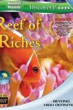 Watch Equator Reefs of Riches Wolowtube