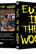 Watch Evil in the Woods Wolowtube