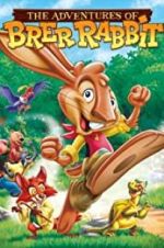 Watch The Adventures of Brer Rabbit Wolowtube