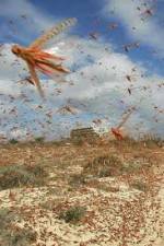 Watch Swarm Chasers: Locusts Wolowtube