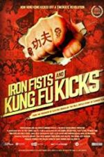 Watch Iron Fists and Kung Fu Kicks Wolowtube