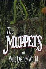 Watch The Muppets at Walt Disney World Wolowtube