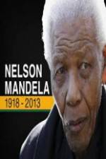 Watch Nelson Mandela: The Final Chapter Wolowtube
