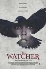Watch The Ravens Watch Wolowtube