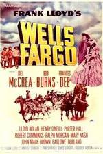 Watch Wells Fargo Wolowtube